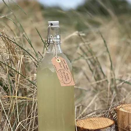 In De Duinen De Koog (Texel)