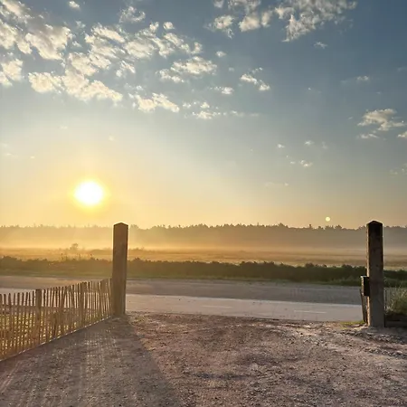 In De Duinen *