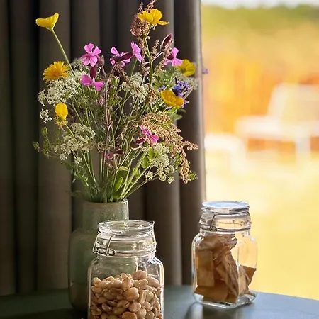 לינה וארוחת בוקר In De Duinen *