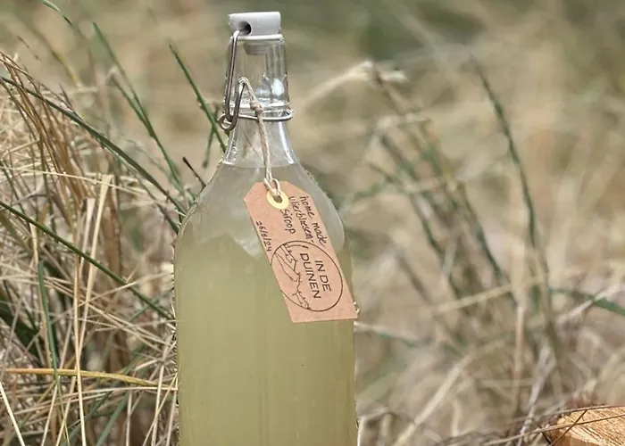 In De Duinen 데쿠크