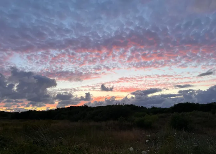 In De Duinen 데쿠크